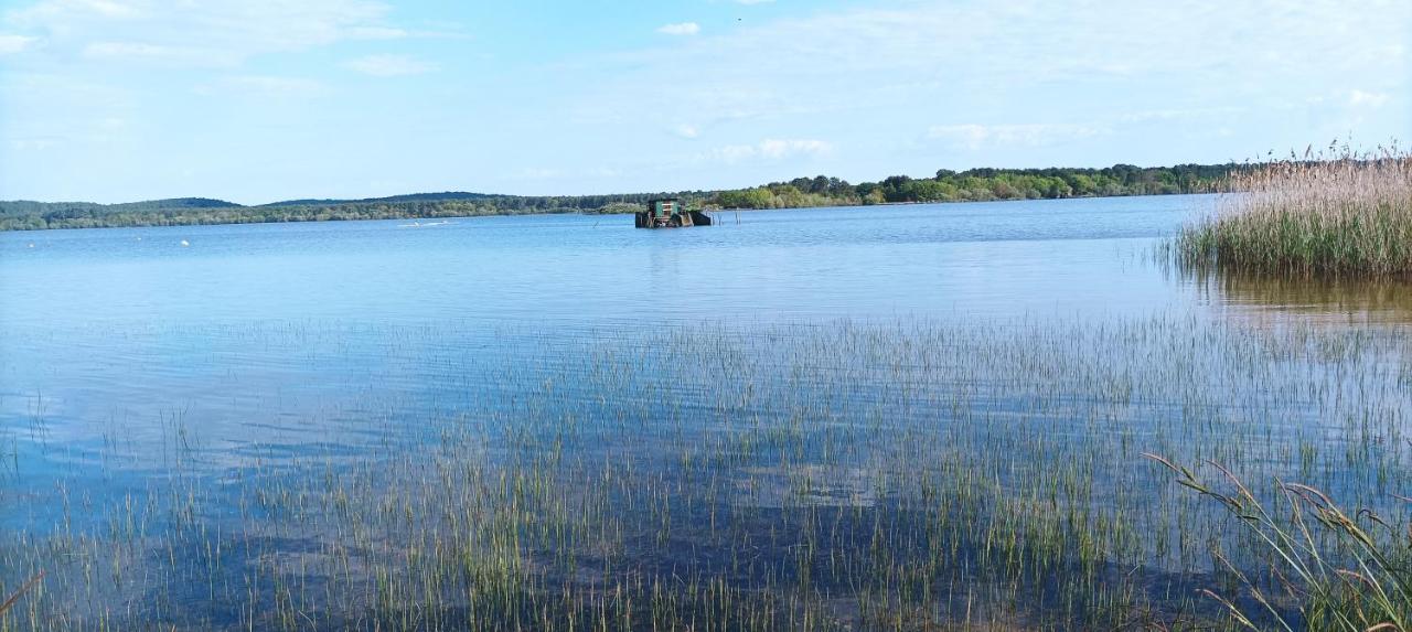Les Terrasses Du Lac Piscine Et Vue Lac A4 Aureilhan  ภายนอก รูปภาพ